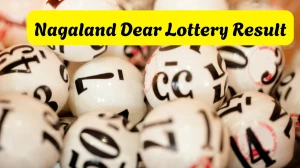 Nagaland Dear Lottery Result Today 27/01/2026 1 PM: Check all Dear Shine Morning Tuesday Winning Numbers Here