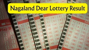 Nagaland Dear Lottery Result Today 28/01/2026 1 PM OUT: Check all Dear Spark Morning Wednesday Winning Numbers Here