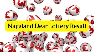 Nagaland Dear Lottery Result Today 31/01/2026 1 PM : Check all Dear Vision Morning Saturday Winning Numbers Here