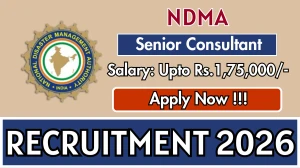 NDMA Senior Consultant Recruitment 2026 - Apply Online