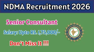 NDMA Senior Consultant Recruitment 2026 - Apply Online