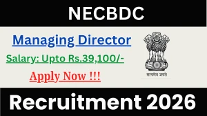 NECBDC Managing Director Recruitment 2026 - Apply Offline