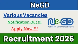 NeGD Recruitment 2026 - Apply Online for 03 Project Manager, Technical Lead And More Posts