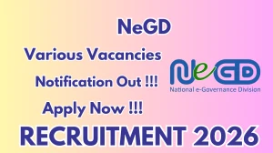 NeGD Recruitment 2026 - Apply Online for 08 Technical Lead, Data Scientist And More Posts