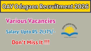 OAV Odagaon Recruitment 2026 - Apply Offline for 05 Warden, Head Cook And More Posts