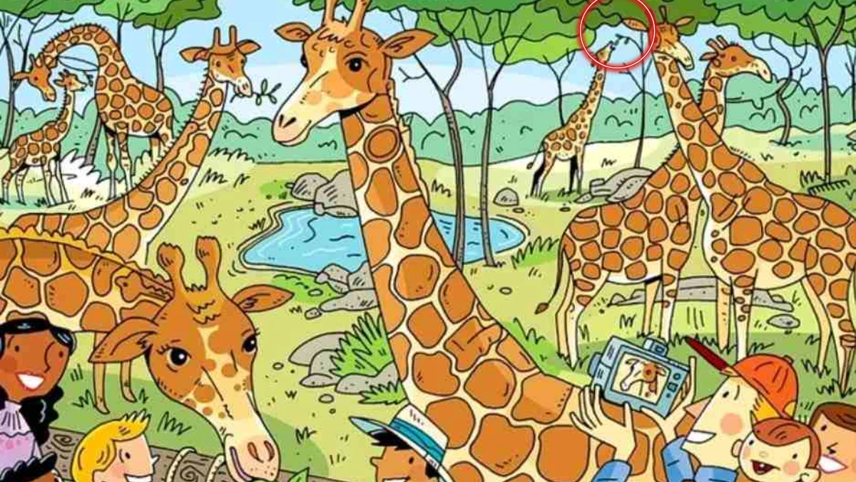 Only Optical Illusion Experts Can Find the Carrot in this Zoo Image in 8 Seconds!