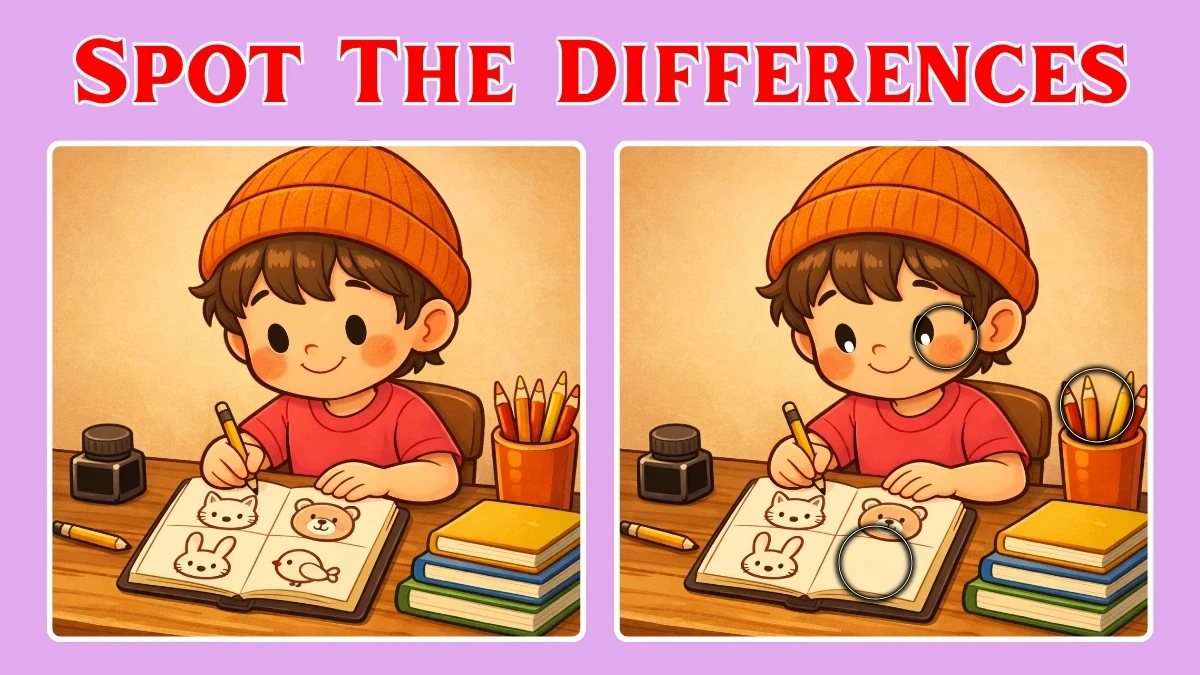 Only smart people can spot 3 differences between the Boy pictures in 12 seconds