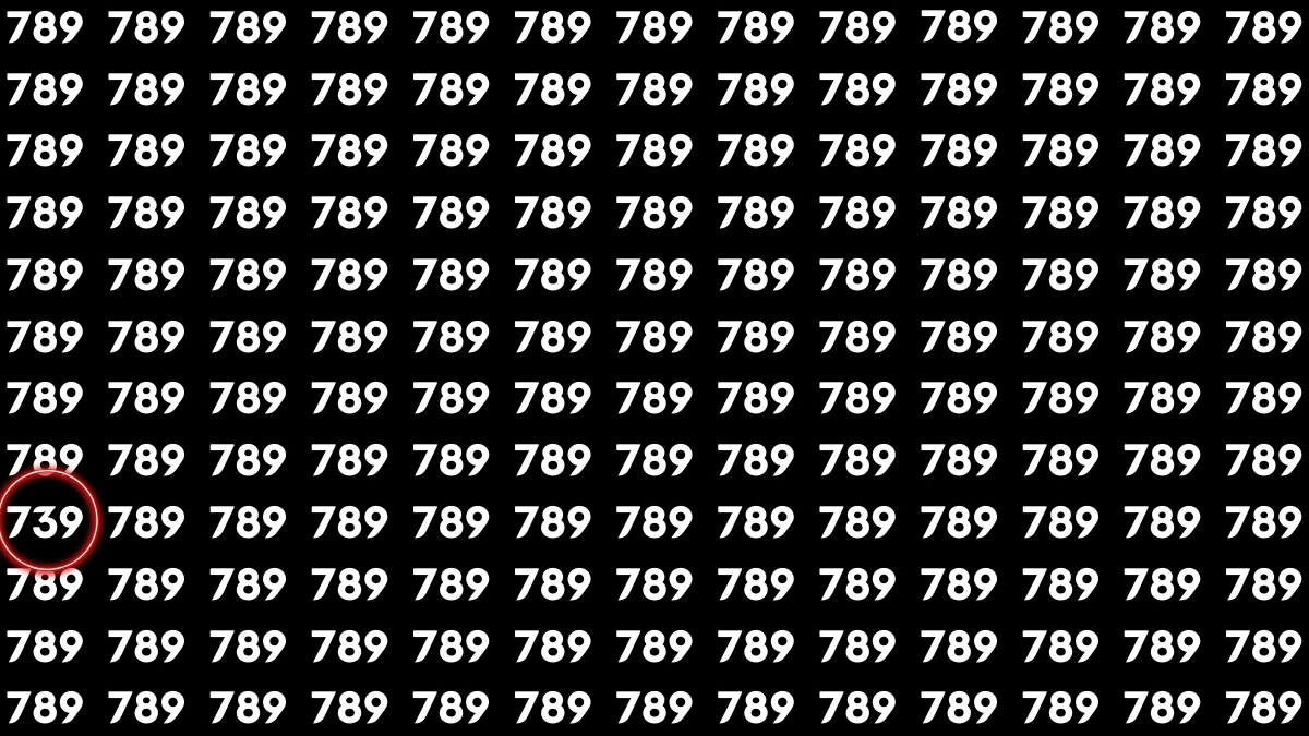 Optical Illusion 7 Seconds Challenge: Only People with Eagle Eyes Can spot the Number 739