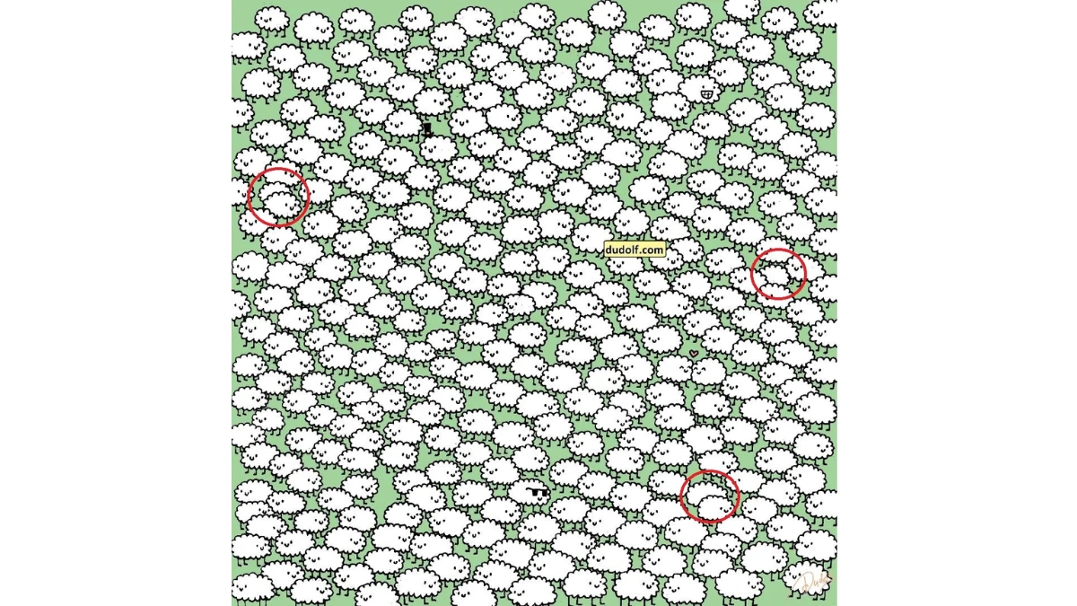 Optical Illusion Challenge: Can You Spot the Three Hidden Clouds Among the Sheep in 10 Seconds?