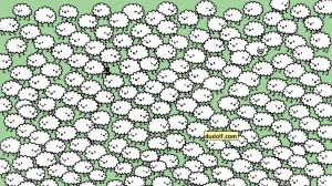 Optical Illusion Challenge: Can You Spot the Three Hidden Clouds Among the Sheep in 10 Seconds?