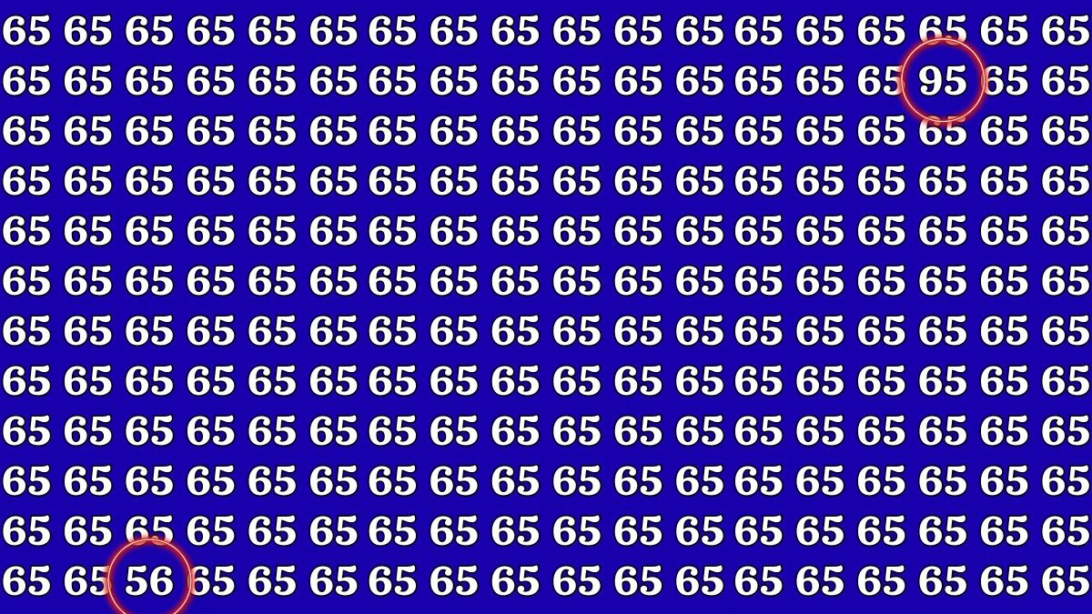 Optical Illusion Eye Challenge: Within 8 Seconds Spot the Number 95 and 56 among 65