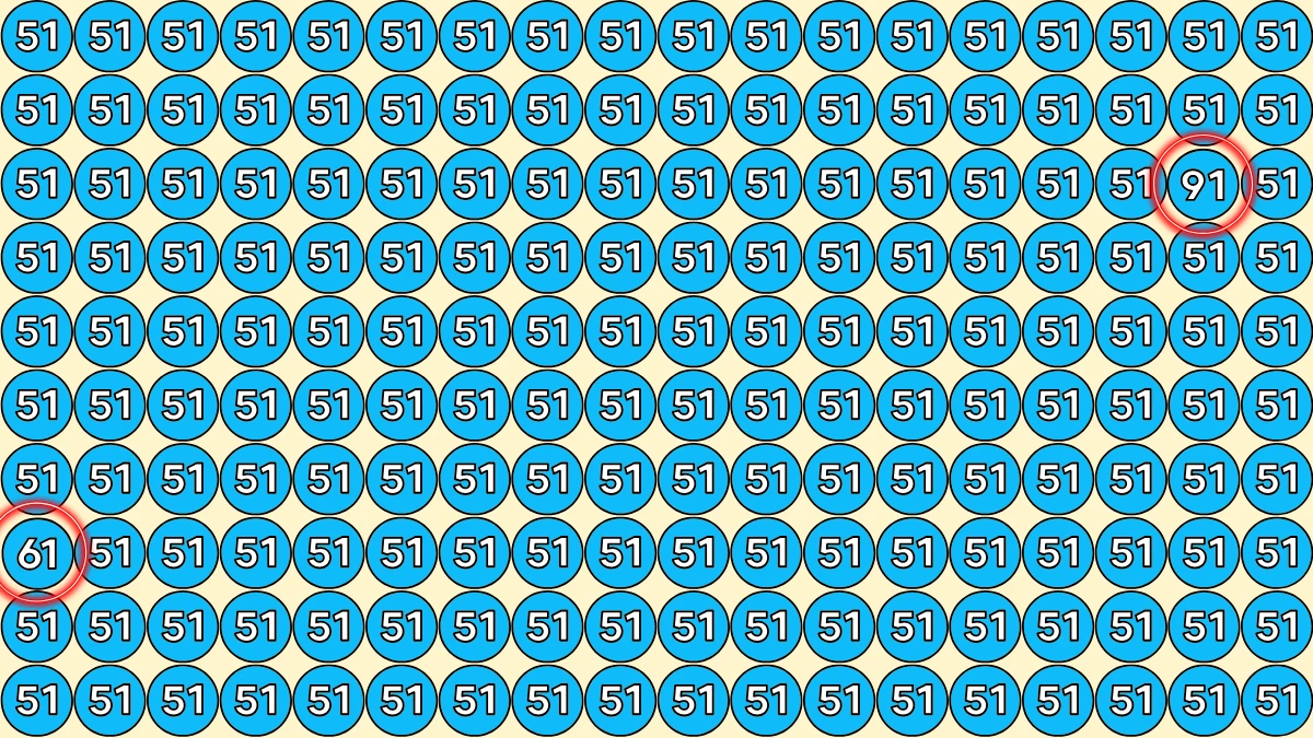 Optical Illusion Eye Challenge: within 9 Seconds Spot the Number 61 and 91 among 61