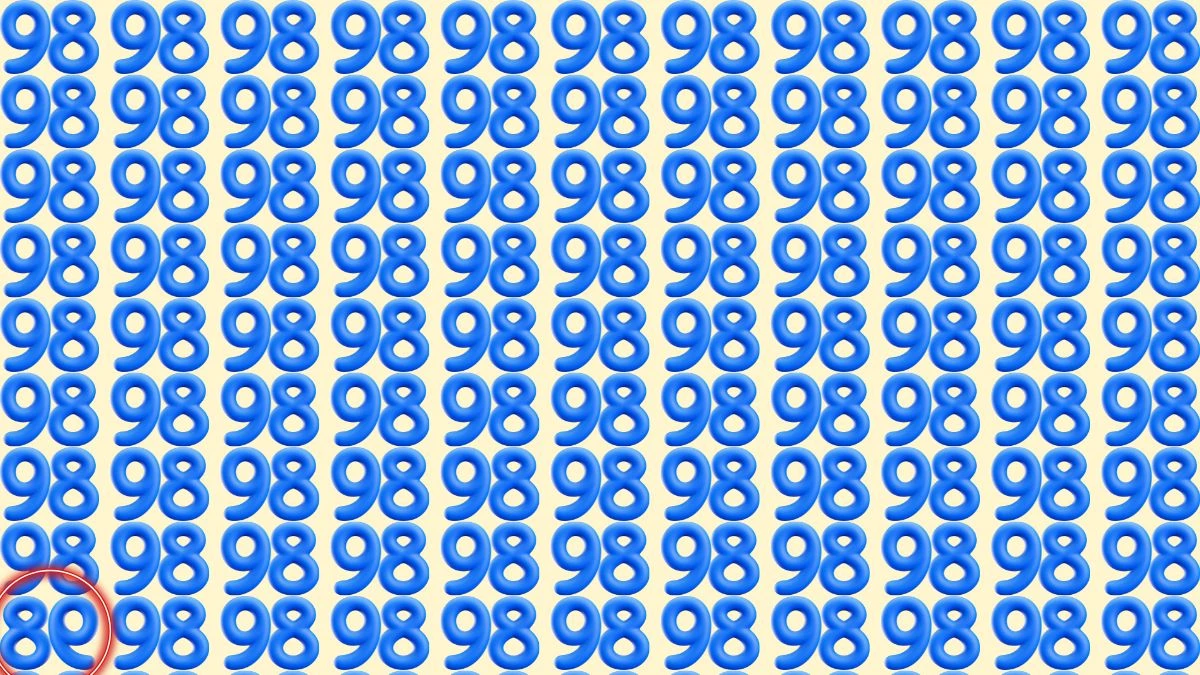 Optical Illusion Eye Test: Can You Spot the Inverted 98 among 98