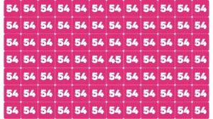 Optical Illusion Find it Out:  Within 5 Seconds Spot The Number 45 among 54
