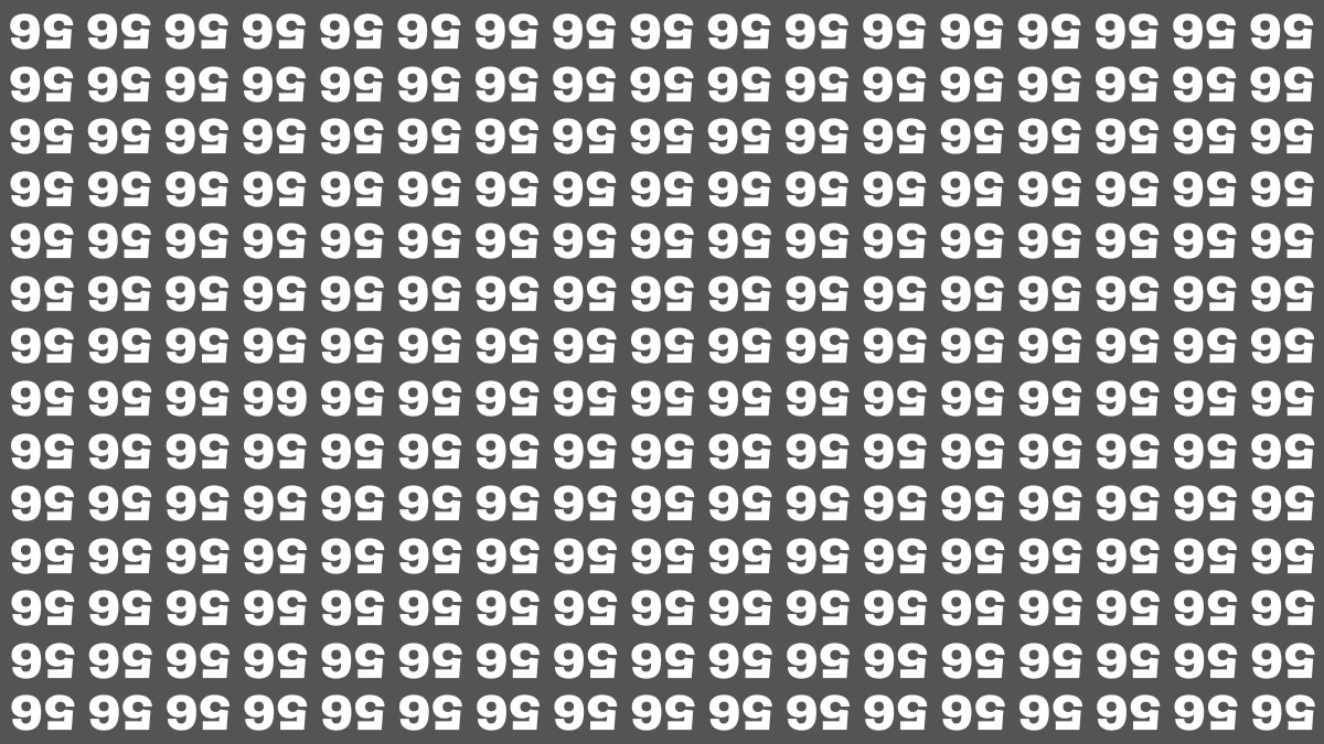 Optical Illusion IQ Test: Are You A Genius? Within 8 Seconds Spot The Inverted 66 among Inverted 56