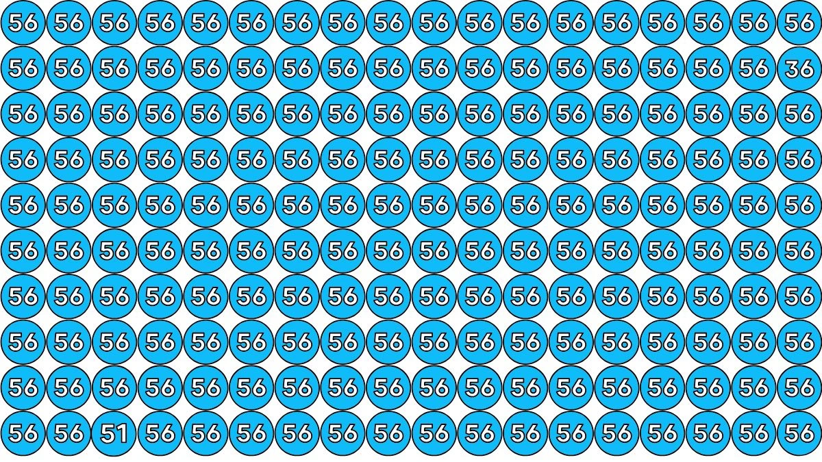 Optical Illusion Test Your Vision: Only Eagle Eyes Can Find 51 and 36 Hidden Among 56 in 9 Seconds!