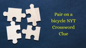 Pair on a bicycle NYT Crossword Clue