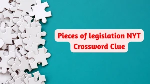 Pieces of legislation NYT Crossword Clue