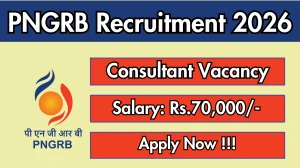 PNGRB Consultant Recruitment 2026 - Apply Offline