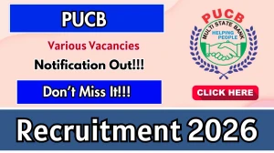 PUCB Recruitment 2026 - Apply Offline for 19 Senior Clerk, Junior Accountant and Other Posts