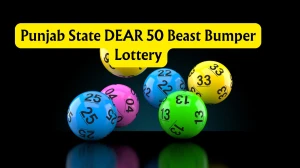 Punjab State DEAR 50 Beast Bumper Lottery Result 19.01.2026 6 PM OUT Check Winning Numbers and Prize Details