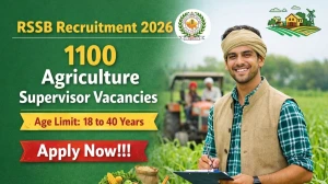 RSSB Agriculture Supervisor Recruitment 2026 - Apply Online for 1100 Posts RSSB Agriculture Supervisor Recruitment 2026 - Apply Online for 1100 Posts