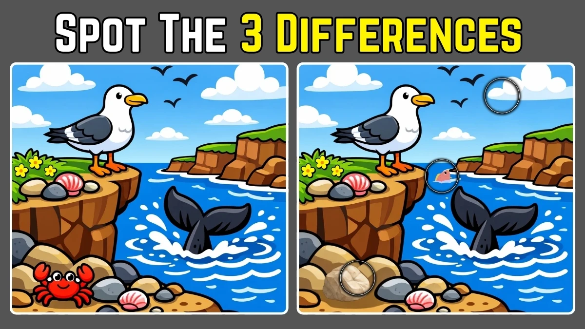 Spot the Difference Challenge: Can You Find 3 Changes in 10 Seconds?