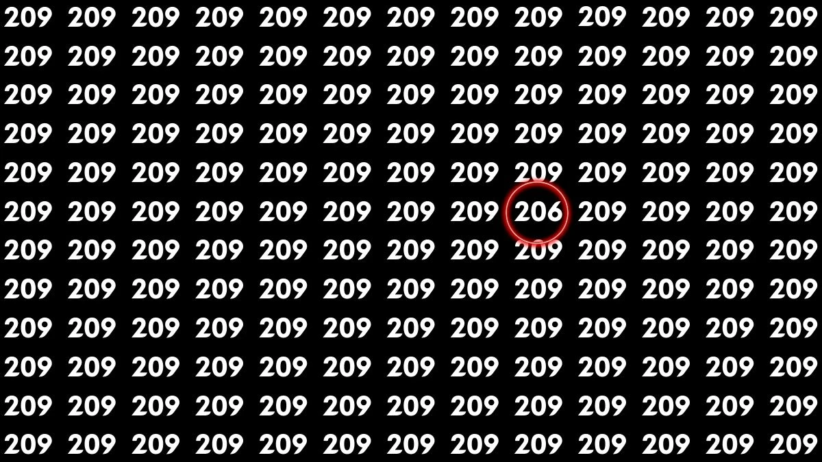 Optical Illusion 7 Seconds Challenge: Only People with Eagle Eyes Can spot the Number 206