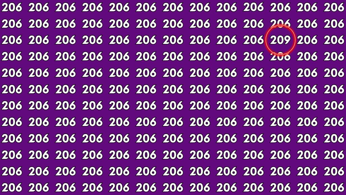 Optical Illusion IQ Test: Within 7 Seconds Spot the Number 209 among 206