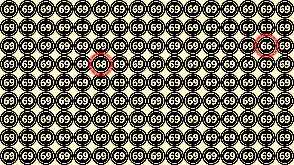 Optical Illusion Eye Challenge: within 6 Seconds Spot the Number 68 and 66 among 69