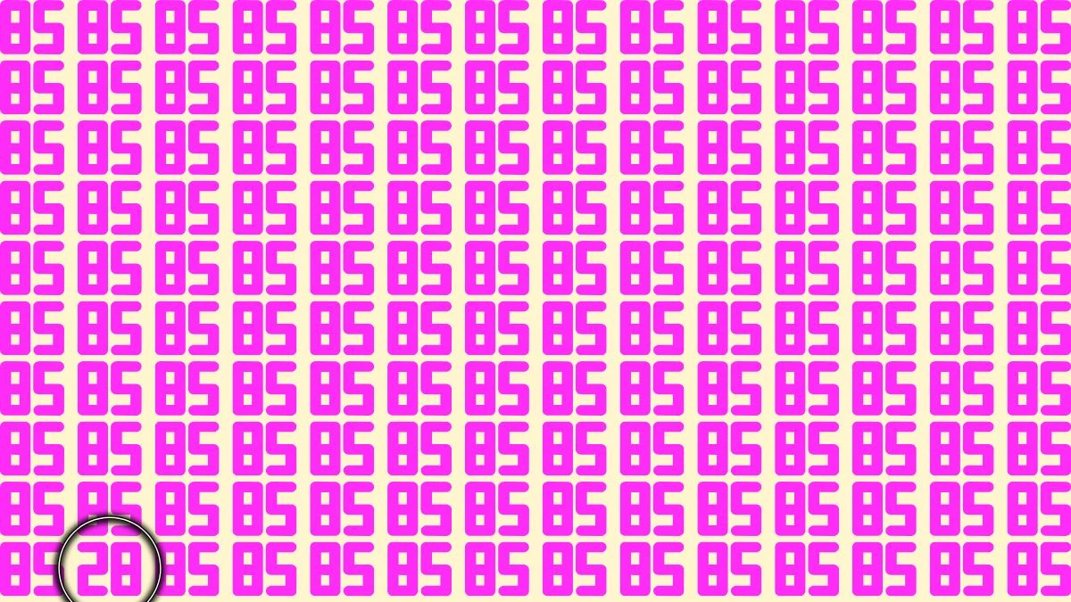 Optical Illusion Find it Out: Within 5 Seconds Spot The Number 28 among 85
