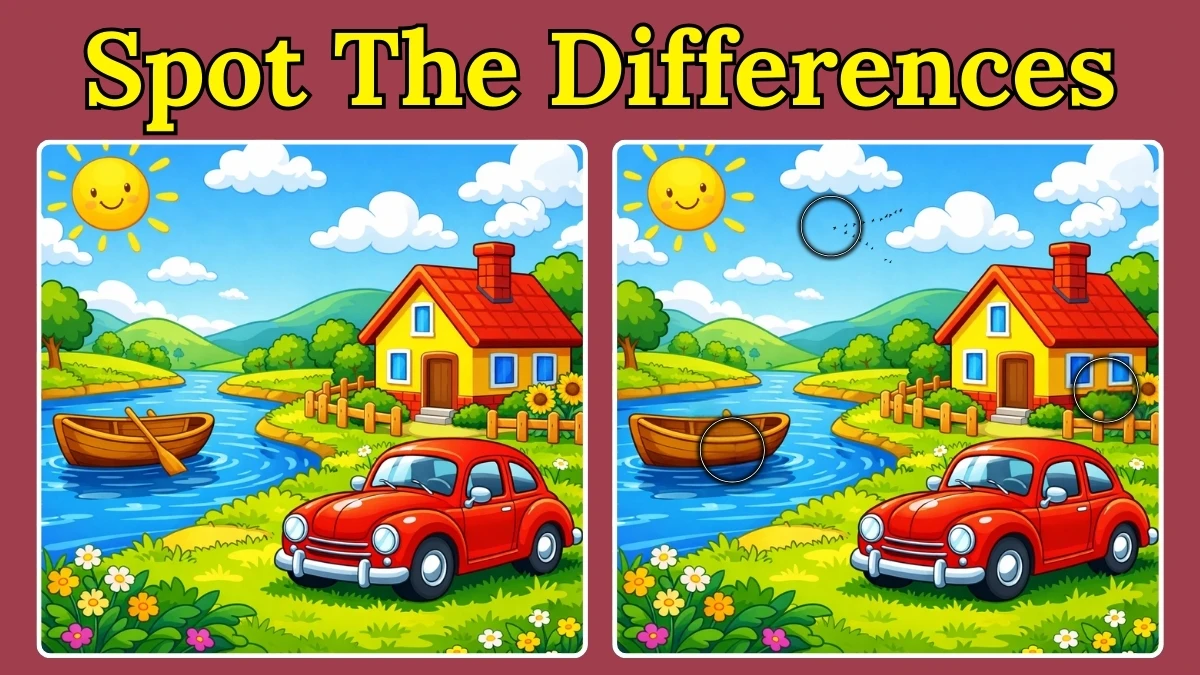 Spot the Difference: Can you spot 3 differences between the two images in 10 seconds?