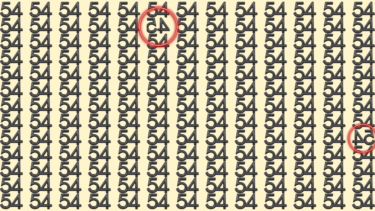Optical Illusion Eye Test: Can You Spot the Inverted 45 and 54 Among 54
