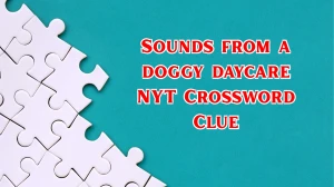 Sounds from a doggy daycare NYT Crossword Clue