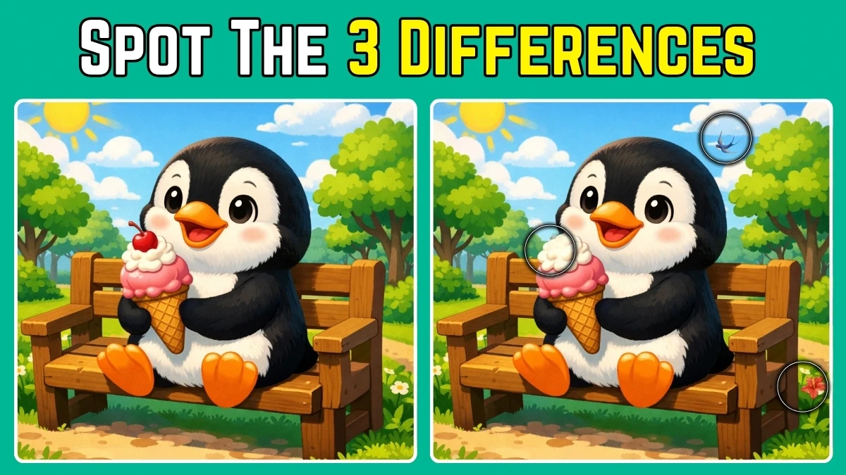 Spot 3 differences between the Penguin pictures in just 10 seconds!