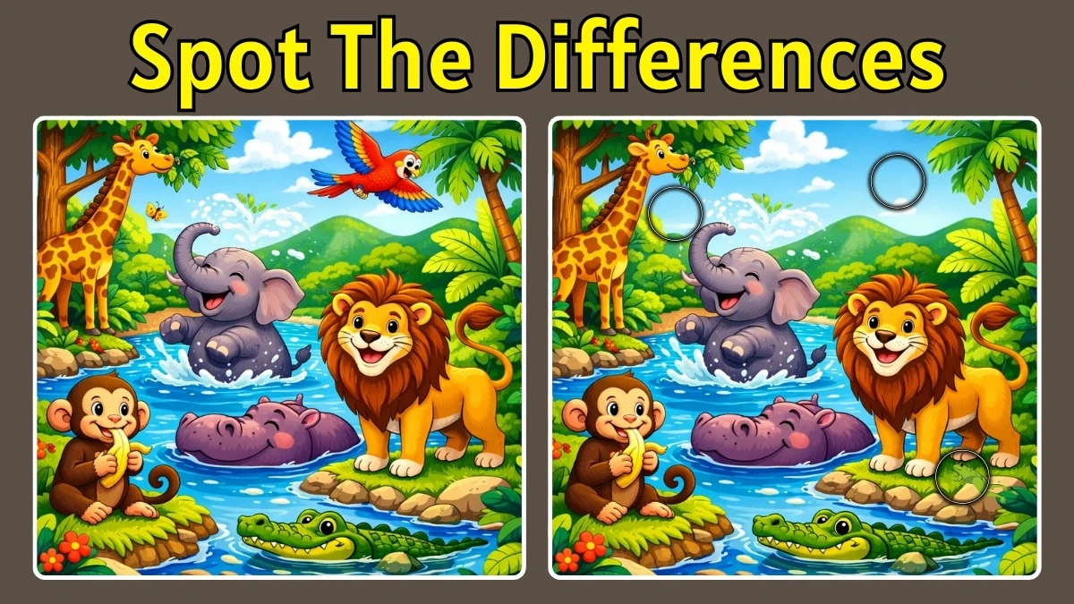 Spot The Difference: Can you spot 3 differences between the two Images in 10 seconds?