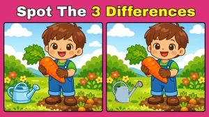 Spot the Difference: Can you Spot the 3 Differences in this Boy Image in 7 Secs