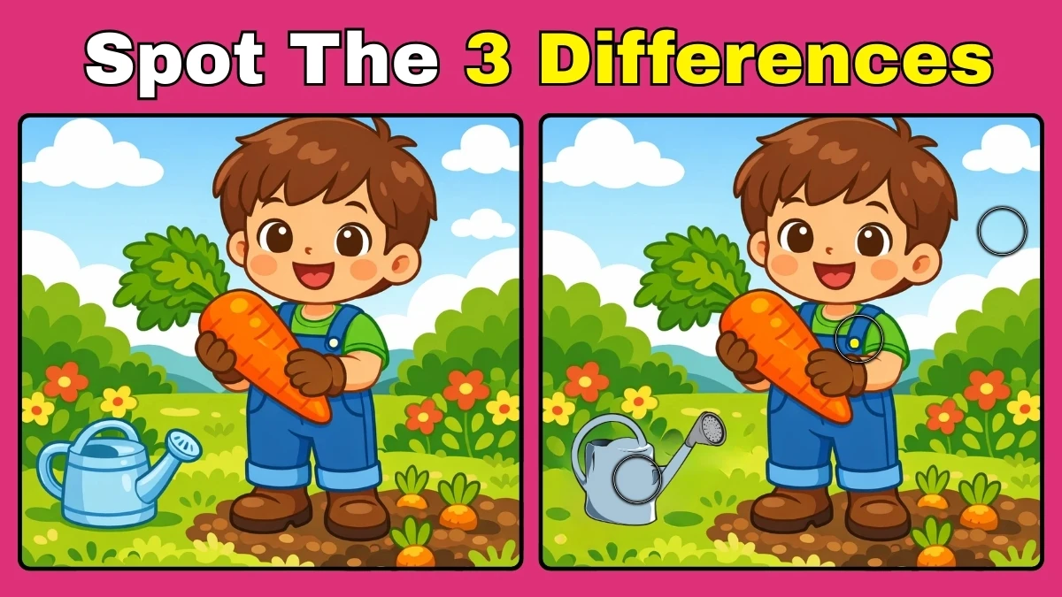 Spot the Difference: Can you Spot the 3 Differences in this Boy Image in 7 Secs