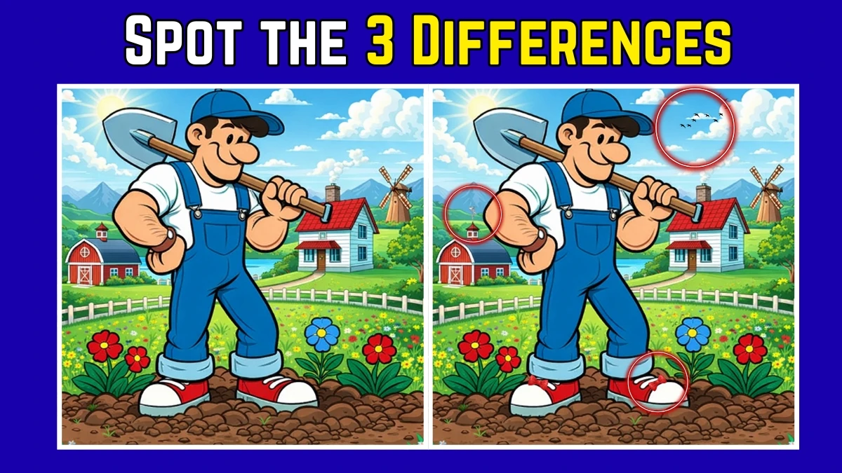 Spot the Difference Challenge: Can you spot 3 differences between the two images in 10 seconds?