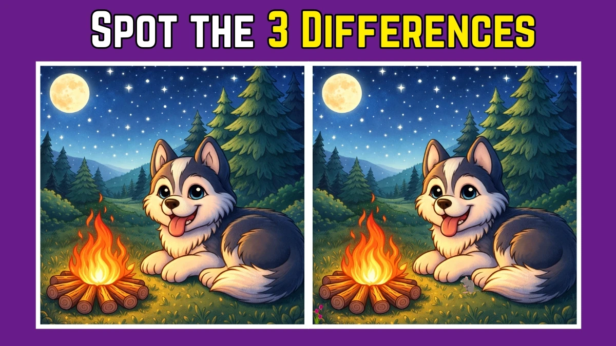 Spot the Difference Game: Can you spot 3 differences between the two images in 13 seconds?