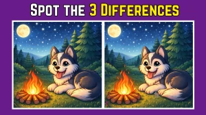 Spot the Difference Game: Can you spot 3 differences between the two images in 1...