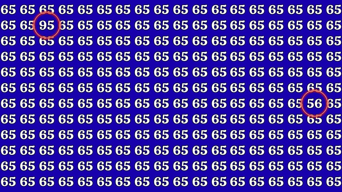 Optical Illusion Eye Challenge: Within 9 Seconds Spot the Number 56 and 95 among 65