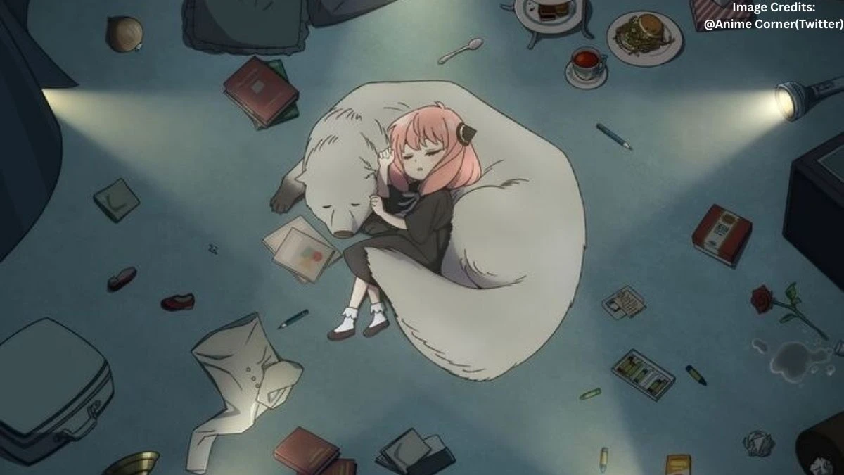 Will There Be a Spy x Family Season 4? 2026 Event Update