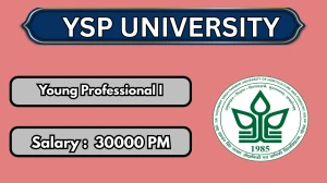 YSP University Young Professional I Recruitment 2026 - Apply Offline