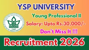 YSP University Young Professional II Recruitment 2026 - Apply Offline