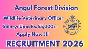 Angul Forest Division Wildlife Veterinary Officer Recruitment 2026 - Apply Offline