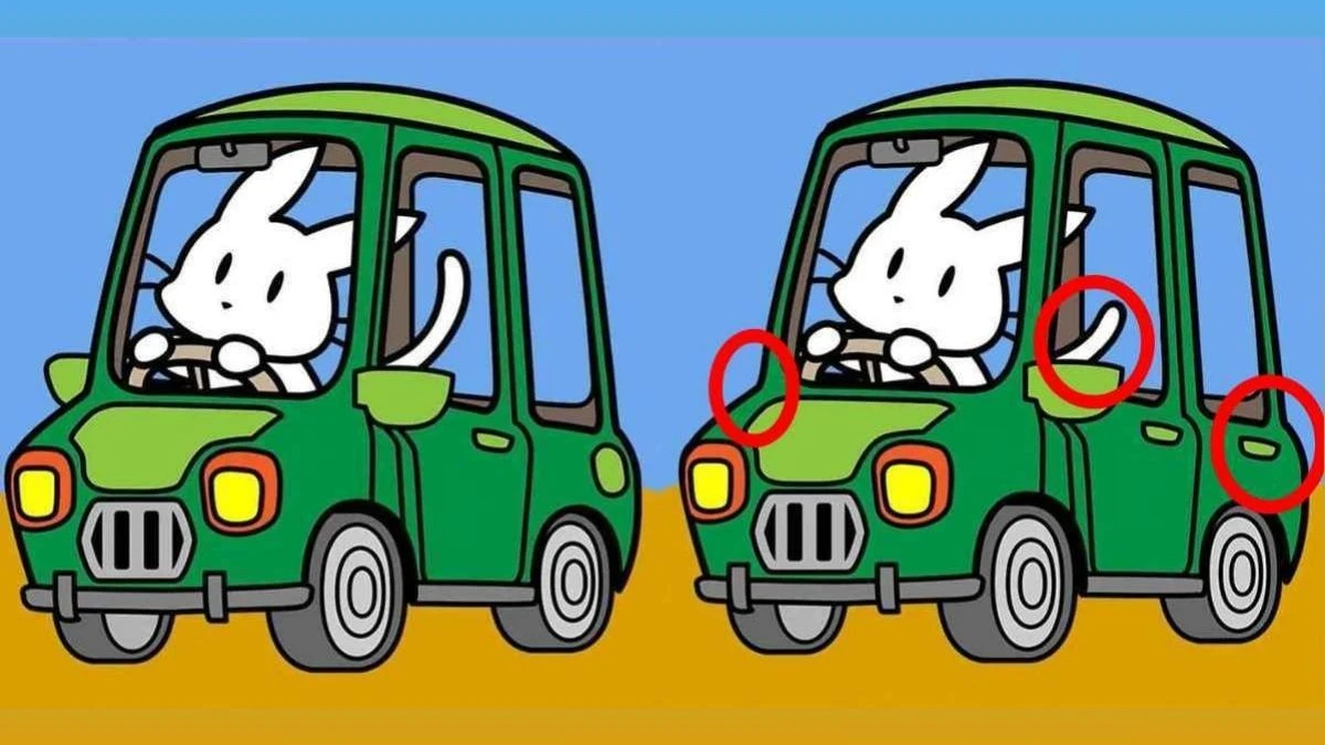 Only Sharp Eyes Can Spot the 3 Hidden Differences in These Identical Photos in 12 Seconds