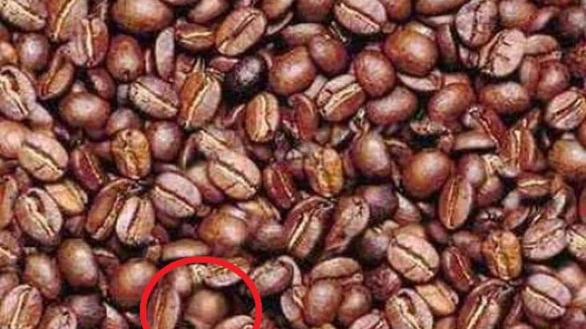 Only Sharp Eyes Can Find the Hidden Man in This Optical Illusion in 11 Seconds