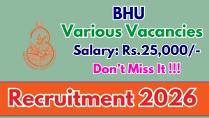 BHU Recruitment 2026 - Apply Online for Flutter Developer, Full Stack Developer and More Posts