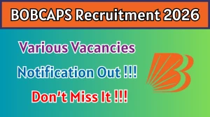 BOBCAPS Recruitment 2026 - Apply Online for Manager, AVP and More Posts